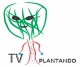 TV Plantando